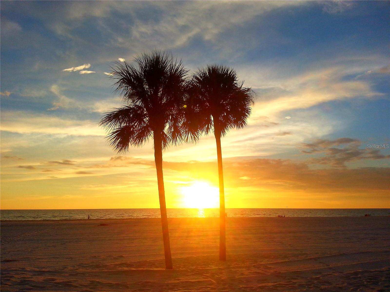 6161 GULF WINDS DR #338, ST PETE BEACH, FL, 33706