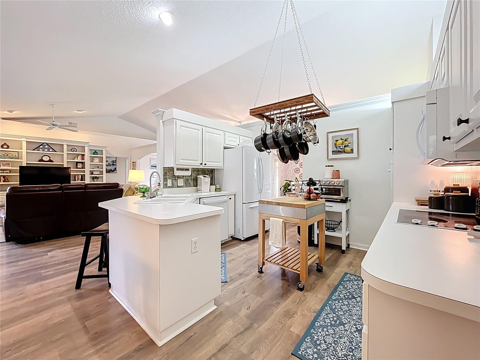 10343 BARRINGTON CT, LEESBURG, FL, 34788
