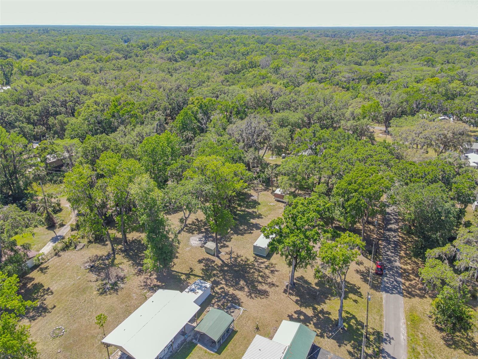 1986 CR 412, LAKE PANASOFFKEE, FL, 33538