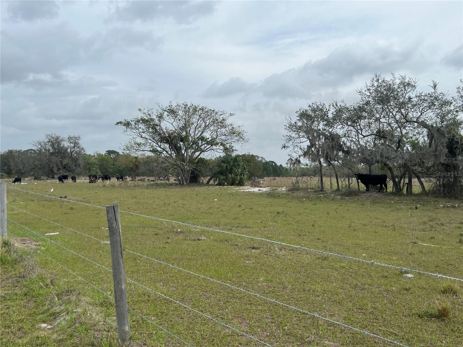 16818 DELIA ST, WIMAUMA, FL, 33598