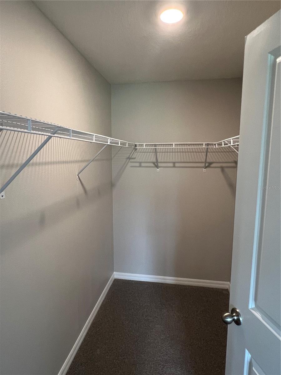 16818 DELIA ST, WIMAUMA, FL, 33598