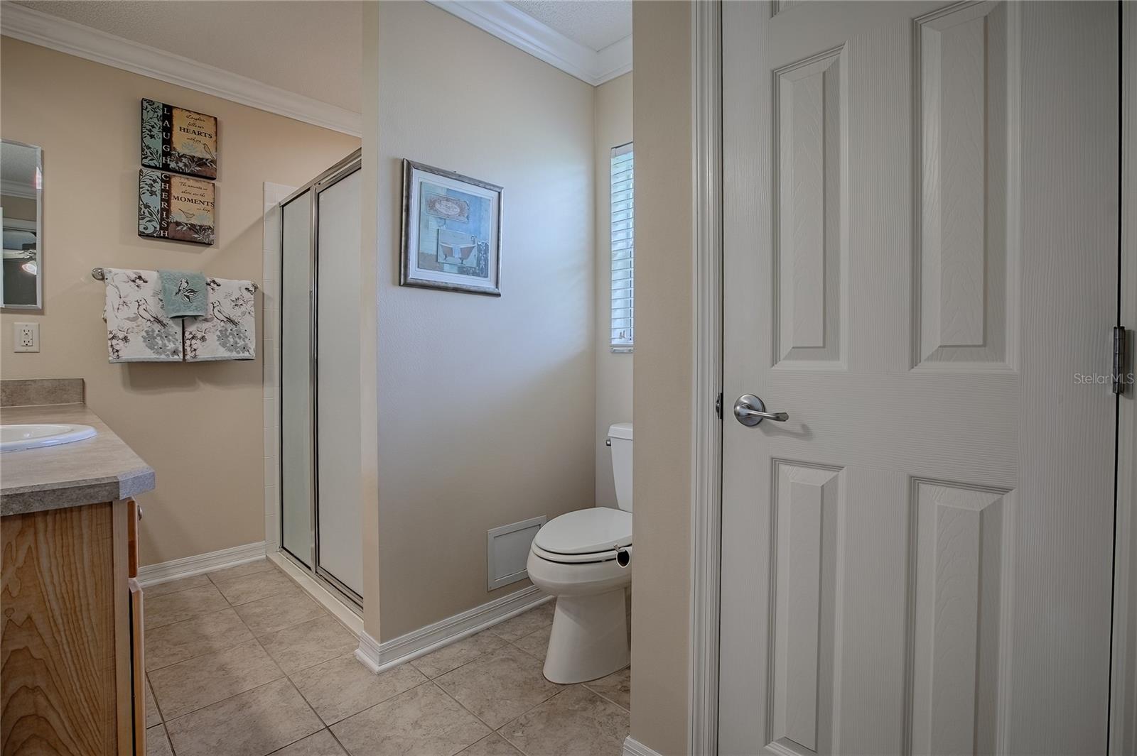 725 BELDON CT, THE VILLAGES, FL, 32162