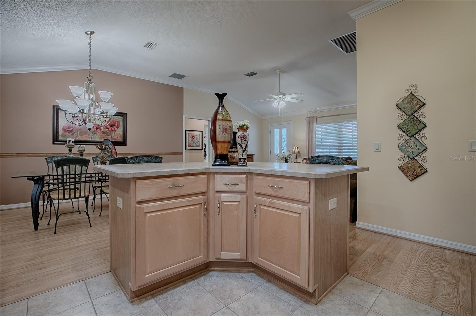 725 BELDON CT, THE VILLAGES, FL, 32162