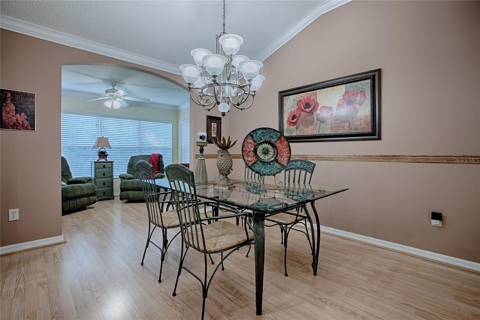 725 BELDON CT, THE VILLAGES, FL, 32162