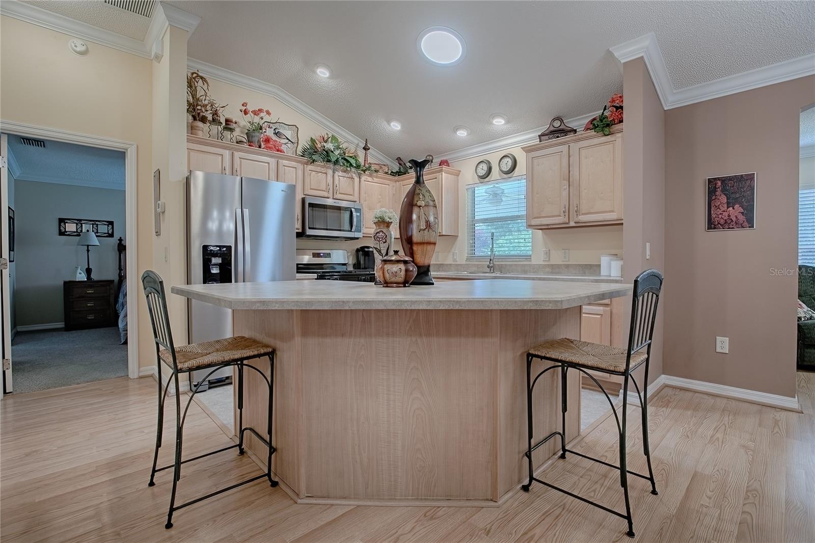 725 BELDON CT, THE VILLAGES, FL, 32162