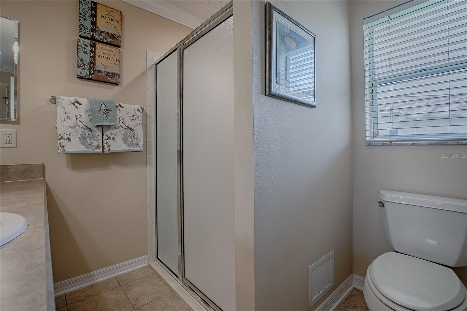 725 BELDON CT, THE VILLAGES, FL, 32162