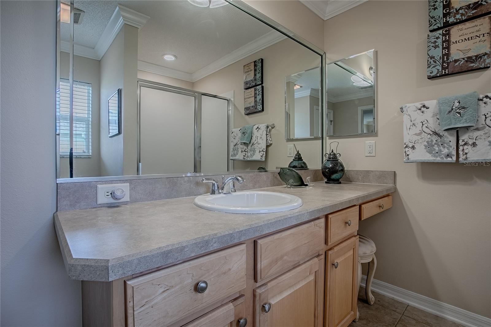 725 BELDON CT, THE VILLAGES, FL, 32162