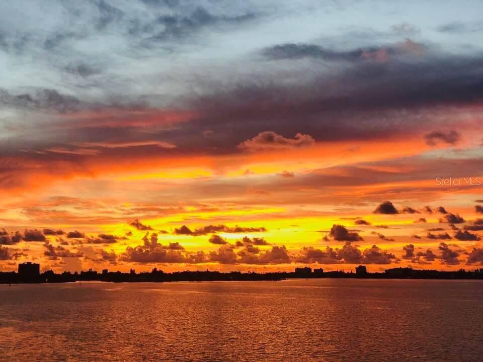 6265 SUN BLVD #204, ST PETERSBURG, FL, 33715