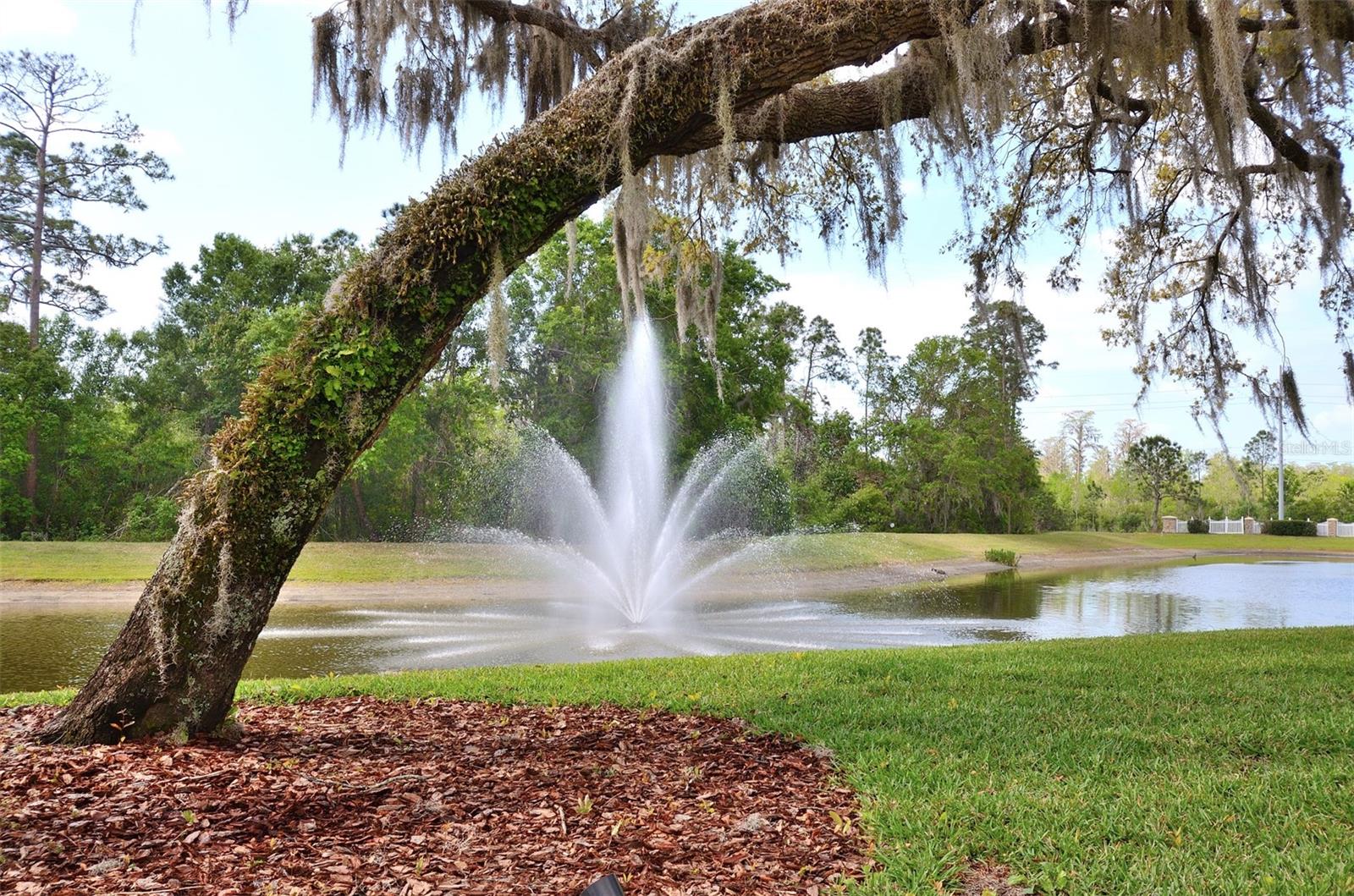 8839 ABBOTSBURY DR, WINDERMERE, FL, 34786