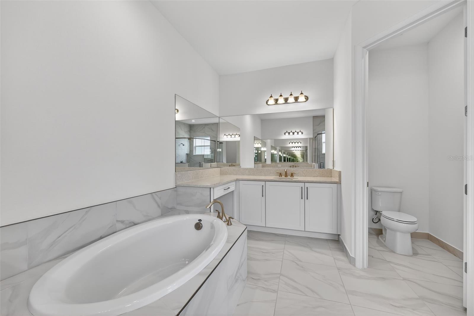 32212 MAHOGANY VALLEY DR, WESLEY CHAPEL, FL, 33543