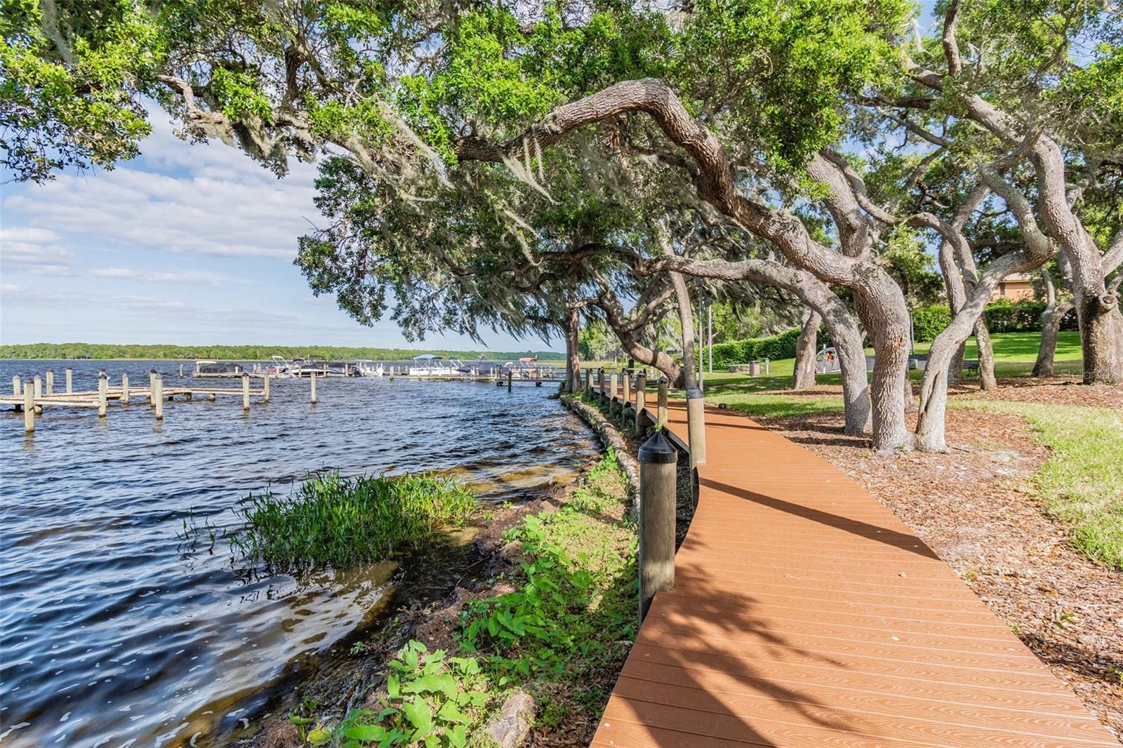 3398 PINNACLE CT S, PALM HARBOR, FL, 34684