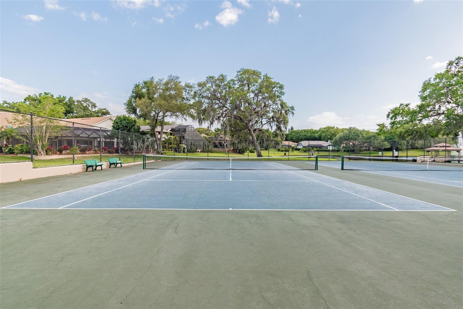 3398 PINNACLE CT S, PALM HARBOR, FL, 34684