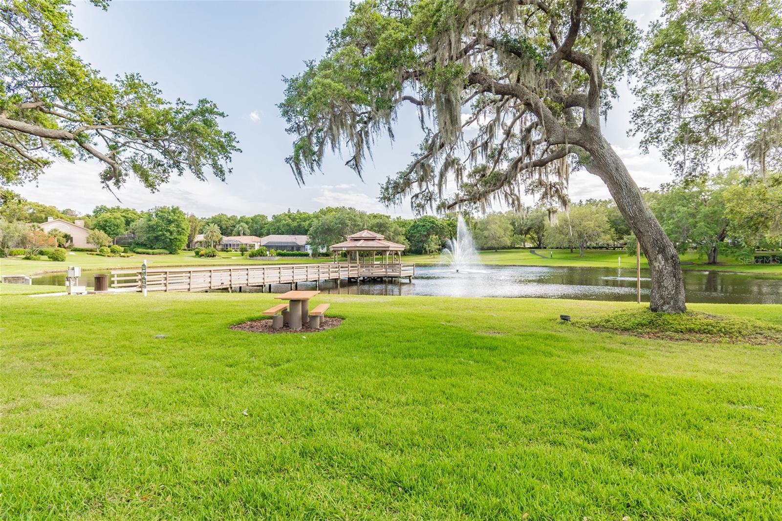 3398 PINNACLE CT S, PALM HARBOR, FL, 34684