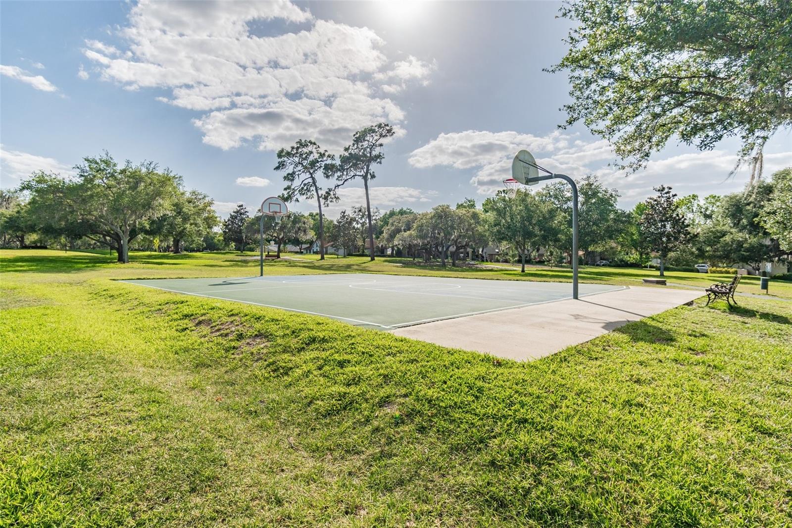 3398 PINNACLE CT S, PALM HARBOR, FL, 34684