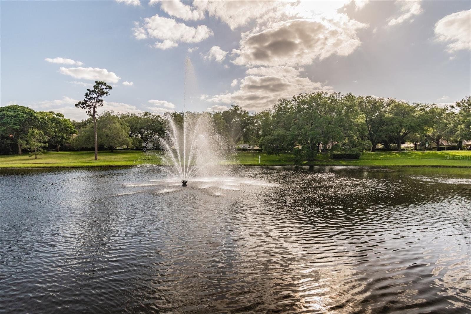 3398 PINNACLE CT S, PALM HARBOR, FL, 34684