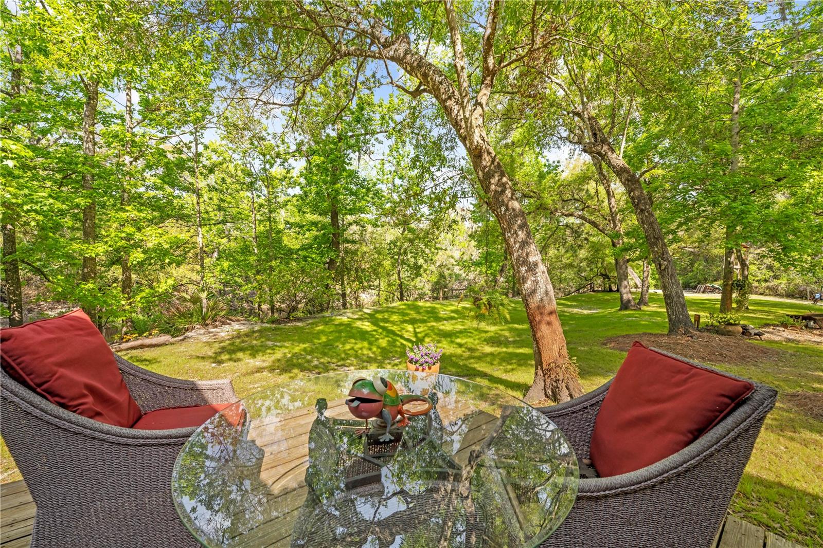 6239 CEDRIC ST, DADE CITY, FL, 33523