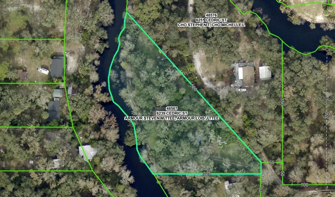 6239 CEDRIC ST, DADE CITY, FL, 33523