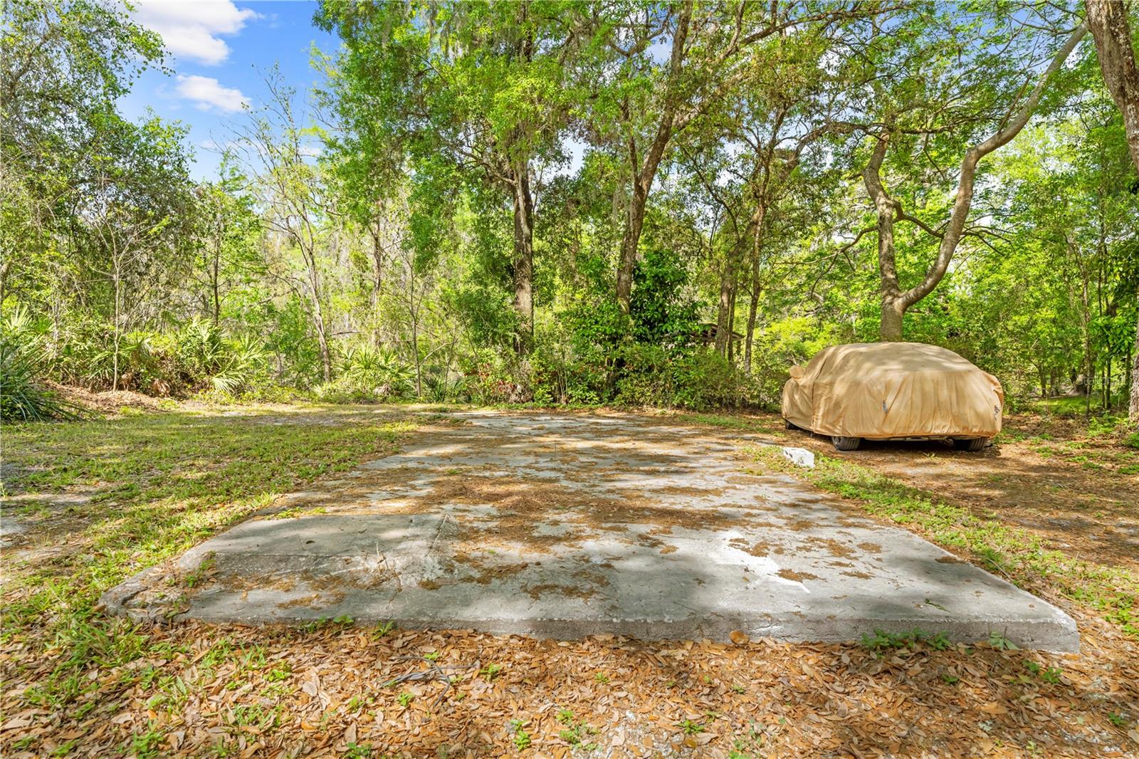 6239 CEDRIC ST, DADE CITY, FL, 33523