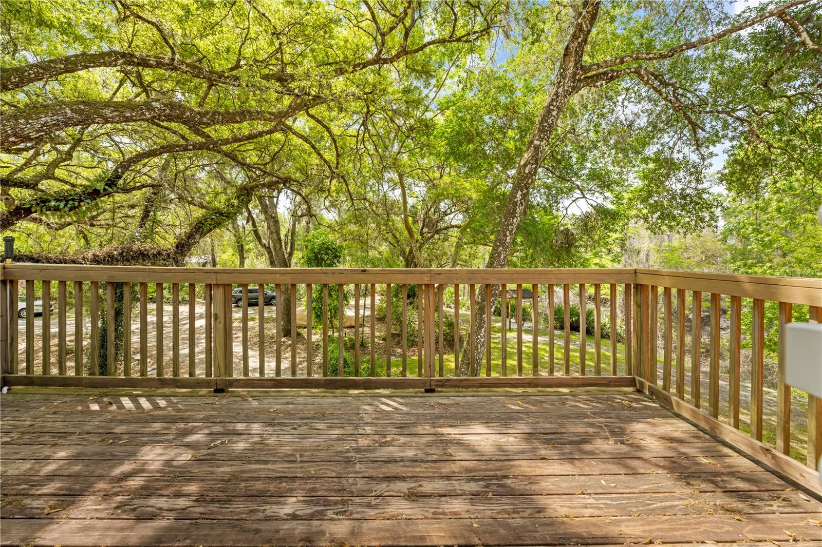 6239 CEDRIC ST, DADE CITY, FL, 33523