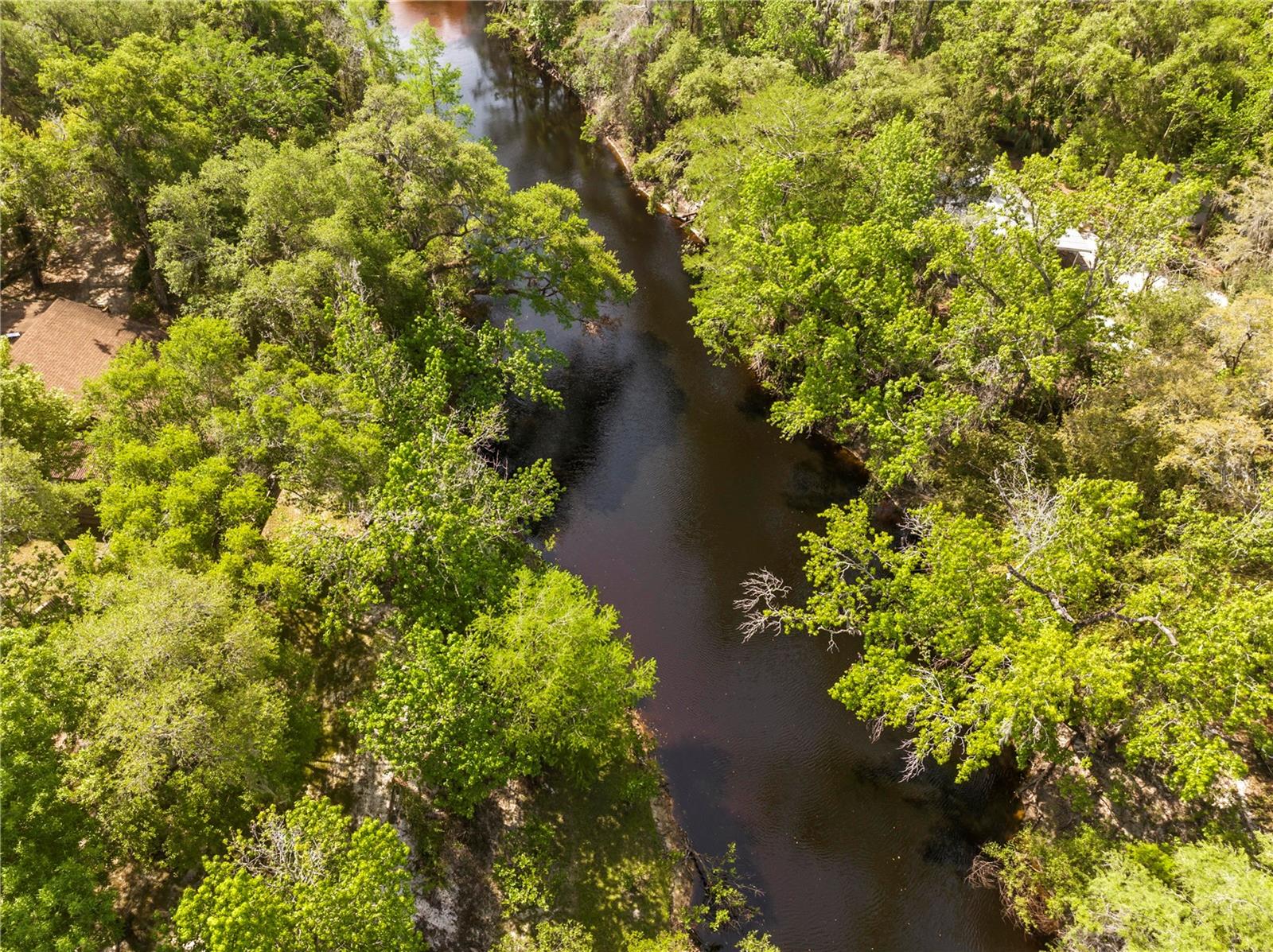 6239 CEDRIC ST, DADE CITY, FL, 33523