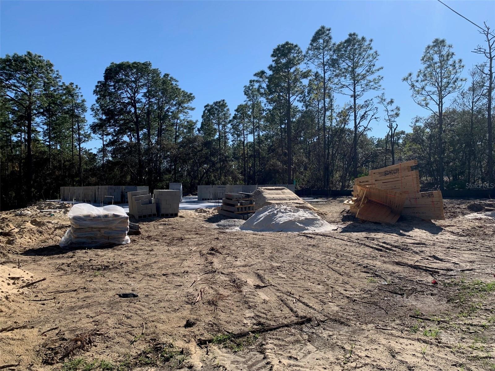 6254 W DEADWOOD LN, BEVERLY HILLS, FL, 34465