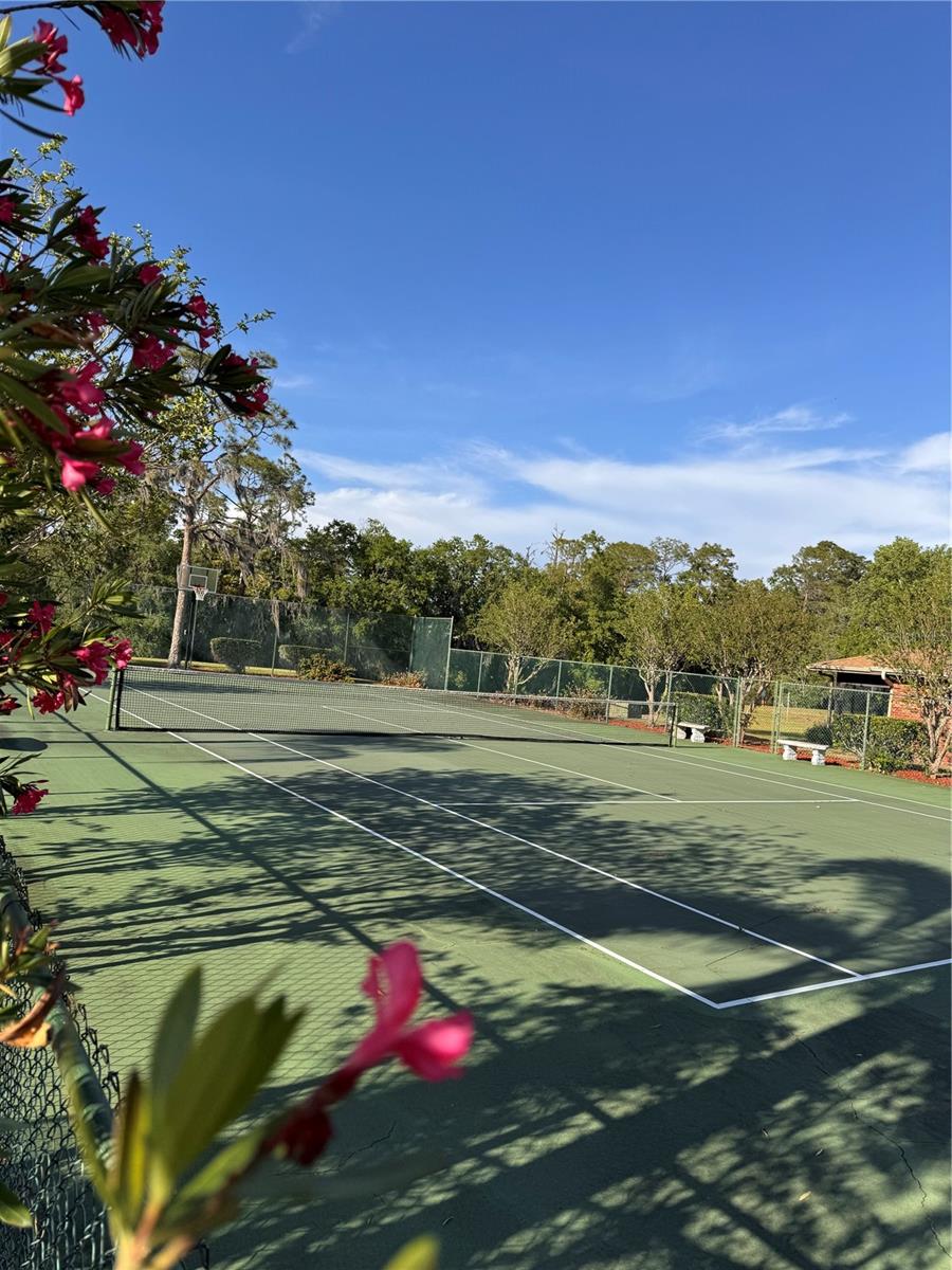 541 LAKE MYSTIC LN, LAKELAND, FL, 33813