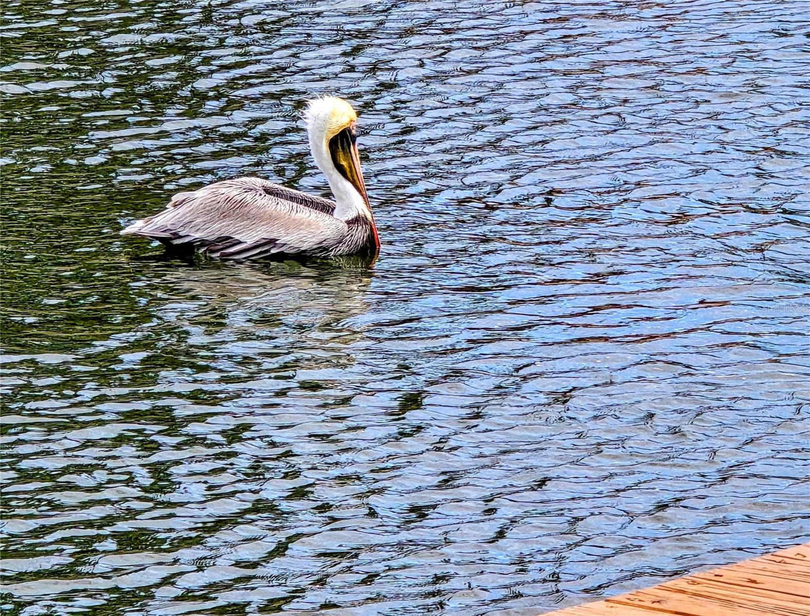 13104 KEEL CT, HUDSON, FL, 34667