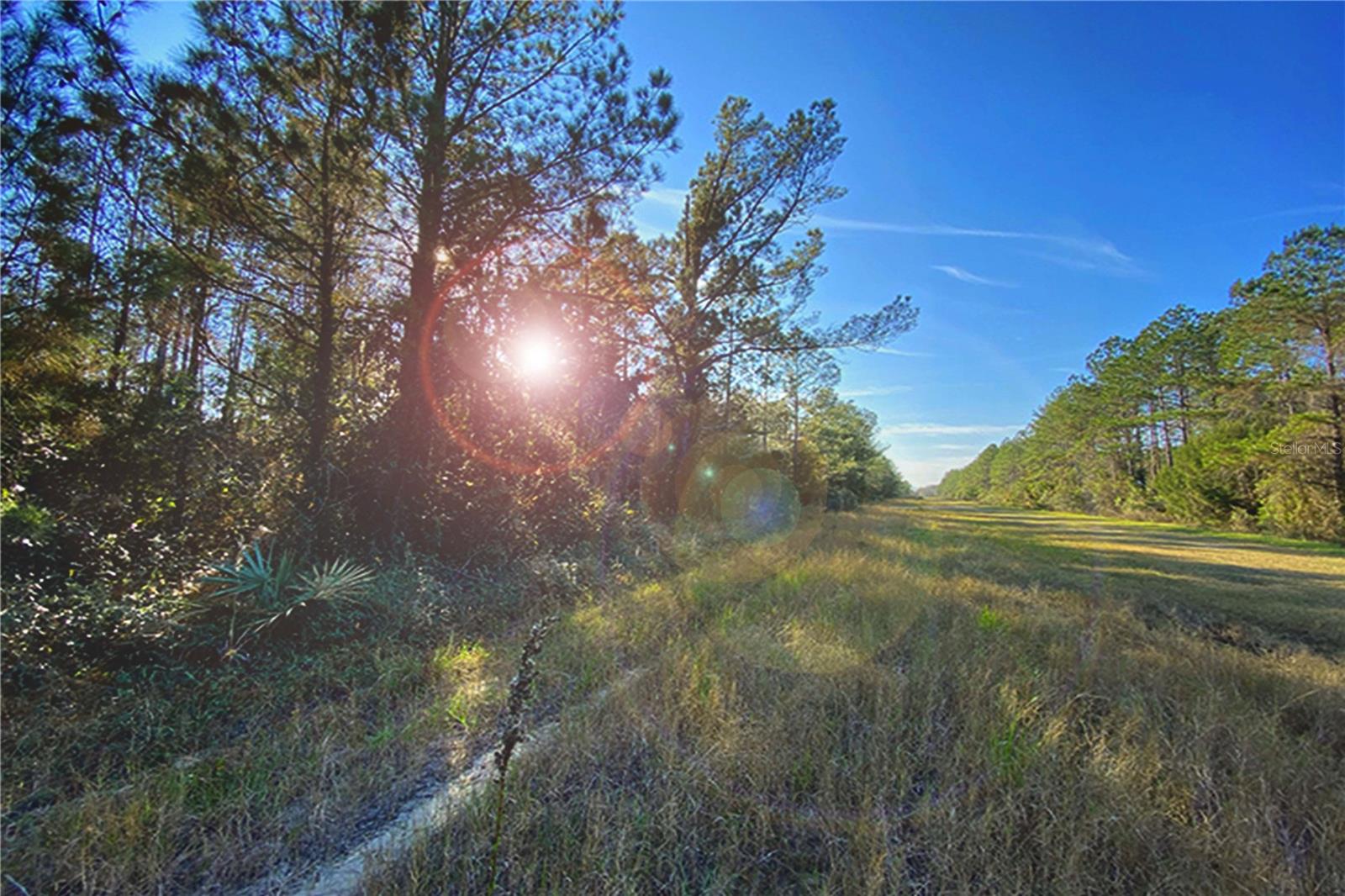 0 DIVISION ST, HASTINGS, FL, 32145