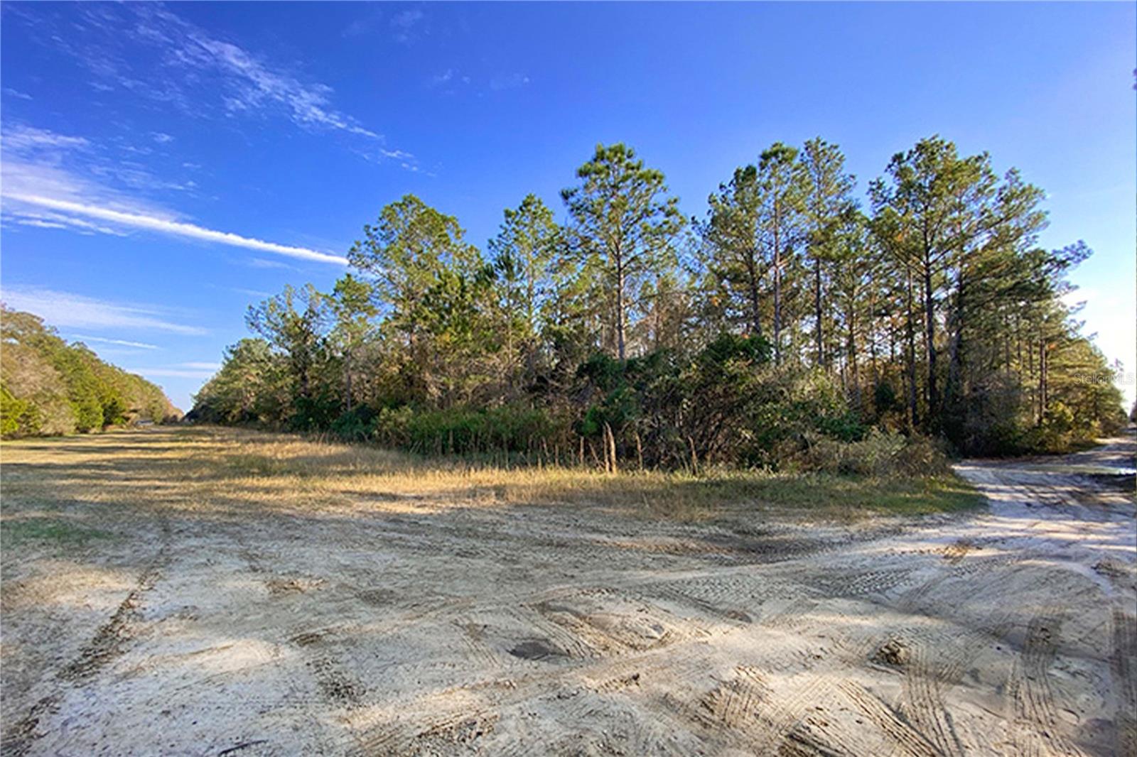 0 DIVISION ST, HASTINGS, FL, 32145