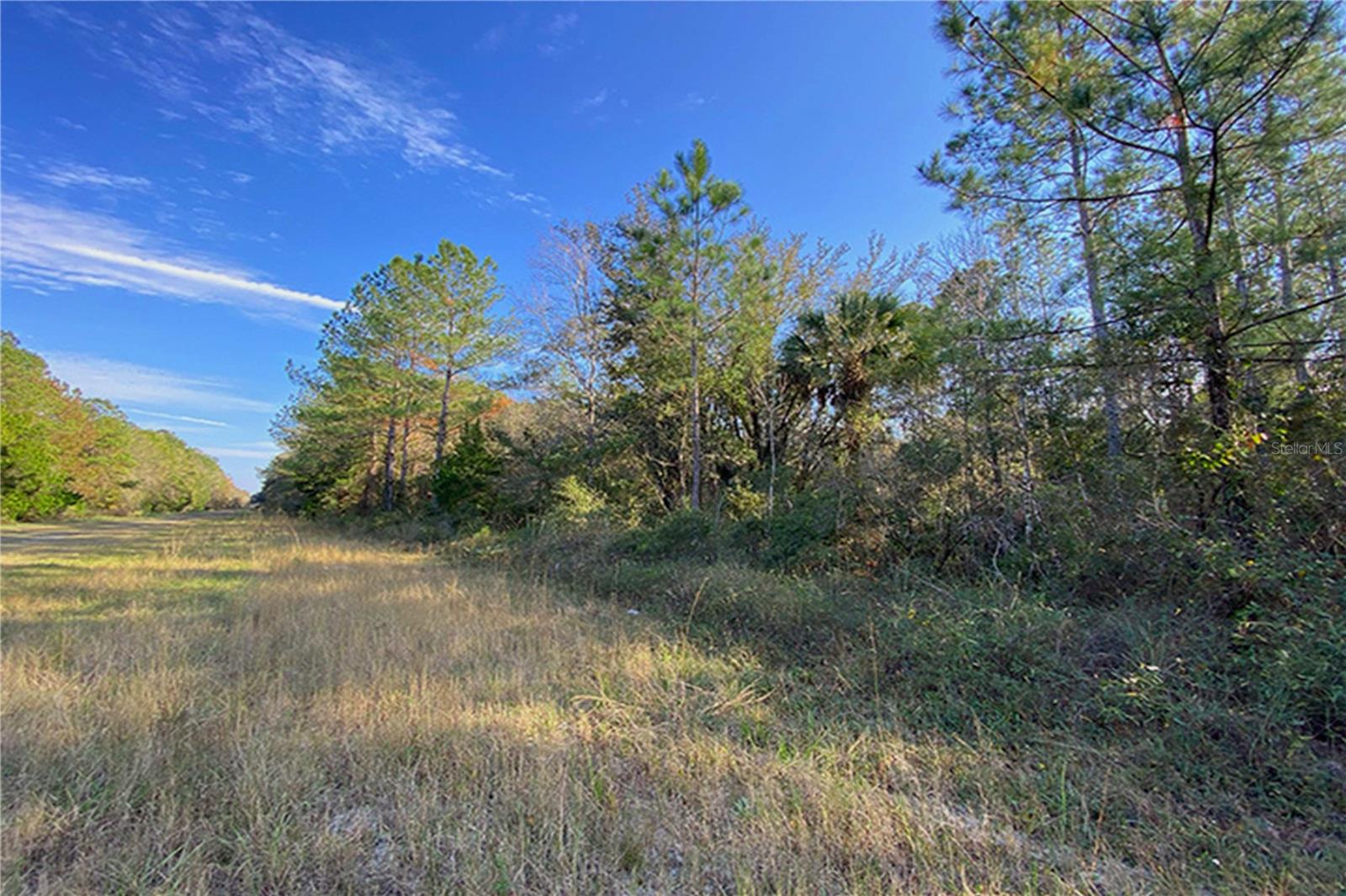 0 DIVISION ST, HASTINGS, FL, 32145