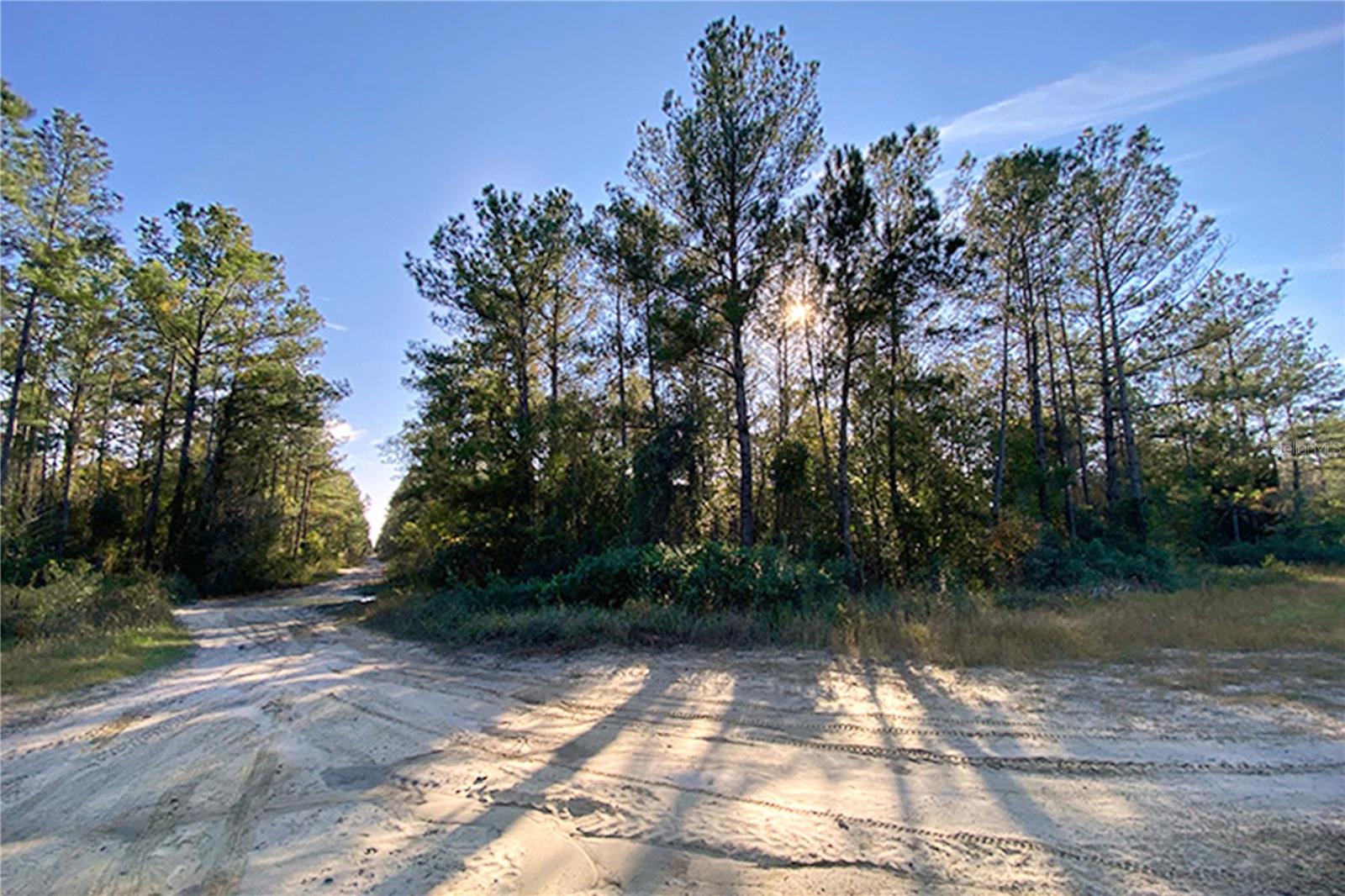 0 DIVISION ST, HASTINGS, FL, 32145