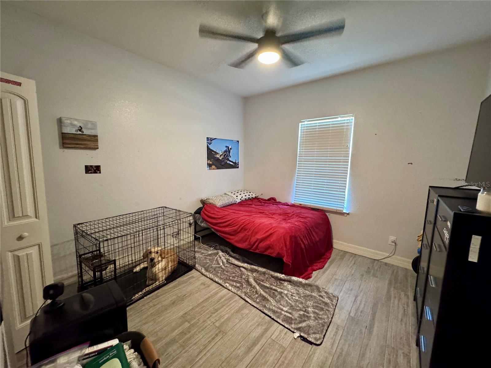 818 NE 38TH ST, CAPE CORAL, FL, 33909