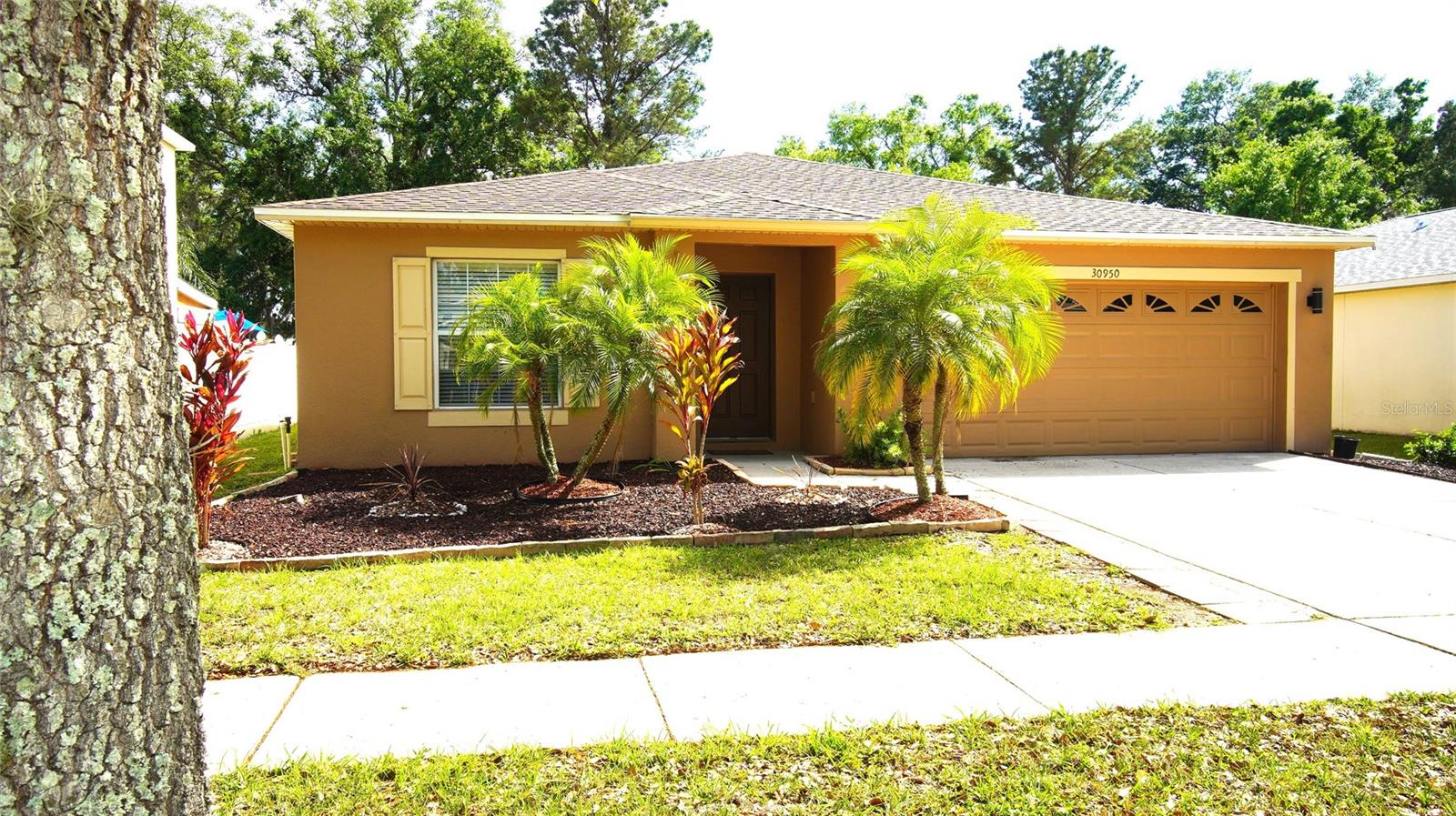 30950 MANDOLIN CAY AVE, WESLEY CHAPEL, FL, 33543