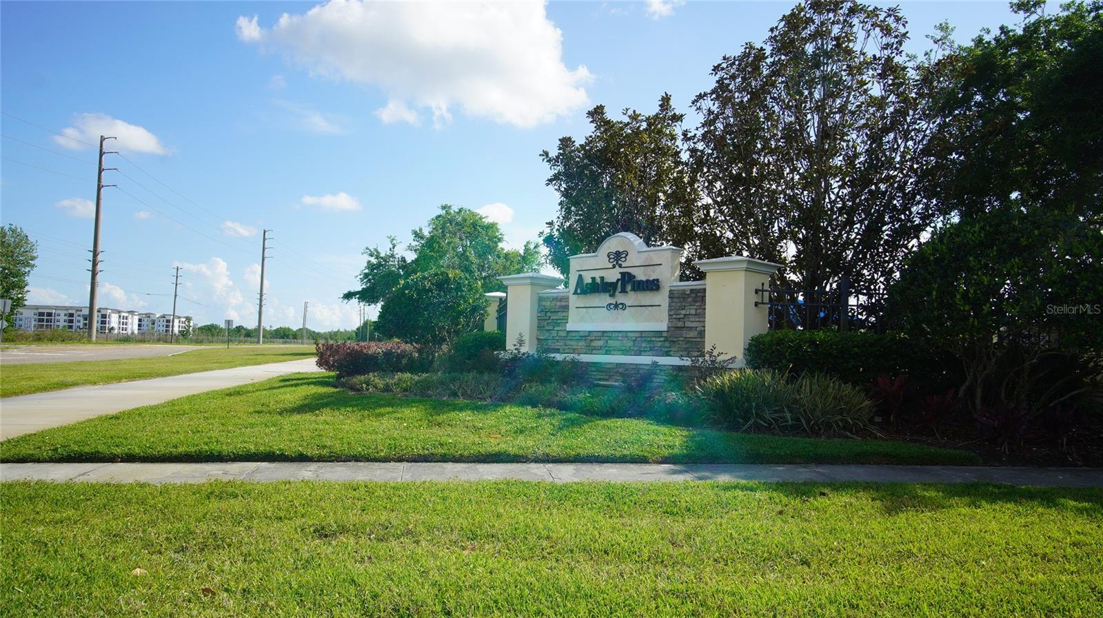 30950 MANDOLIN CAY AVE, WESLEY CHAPEL, FL, 33543