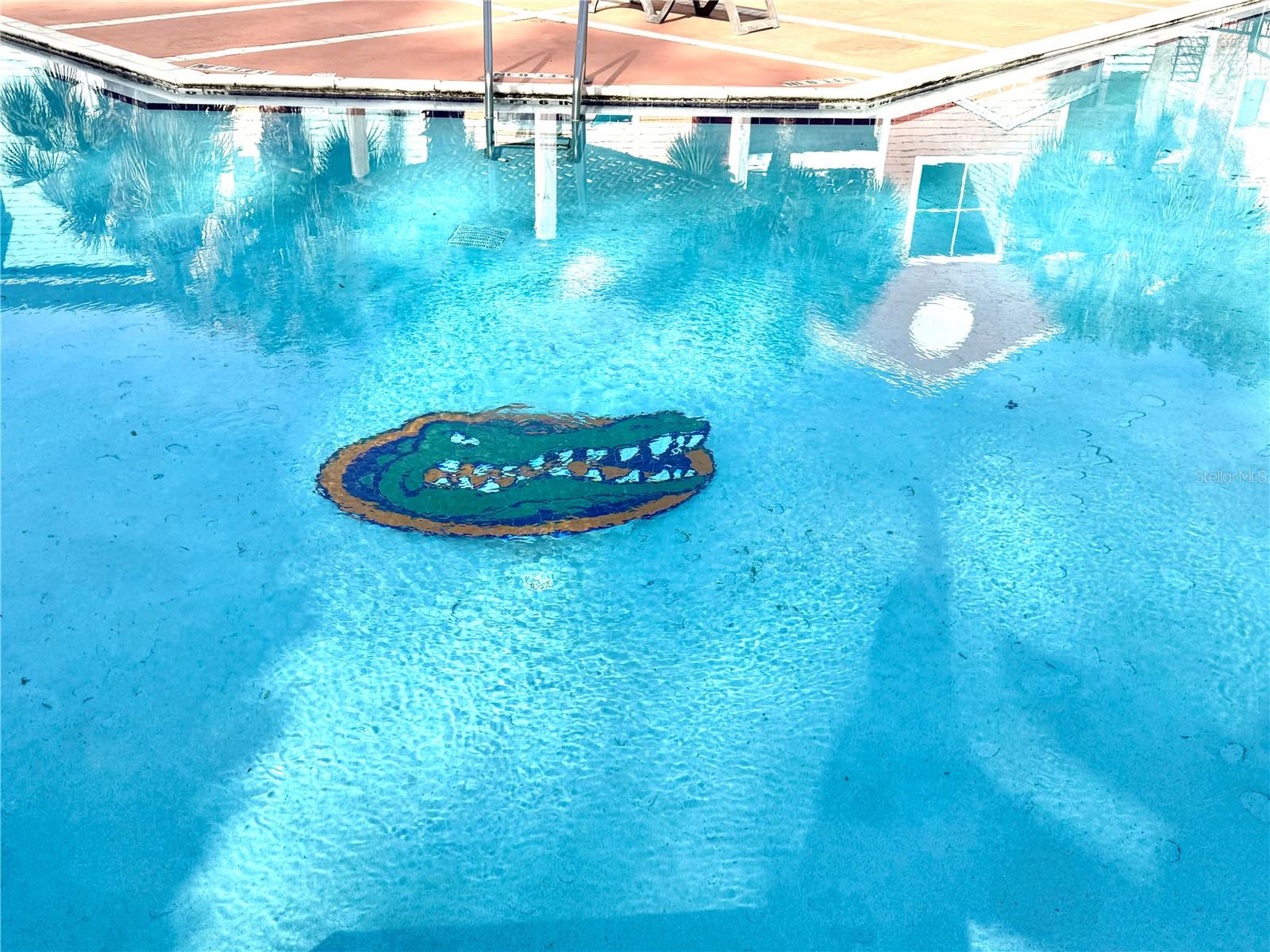 2601 SW ARCHER RD #B308, GAINESVILLE, FL, 32608