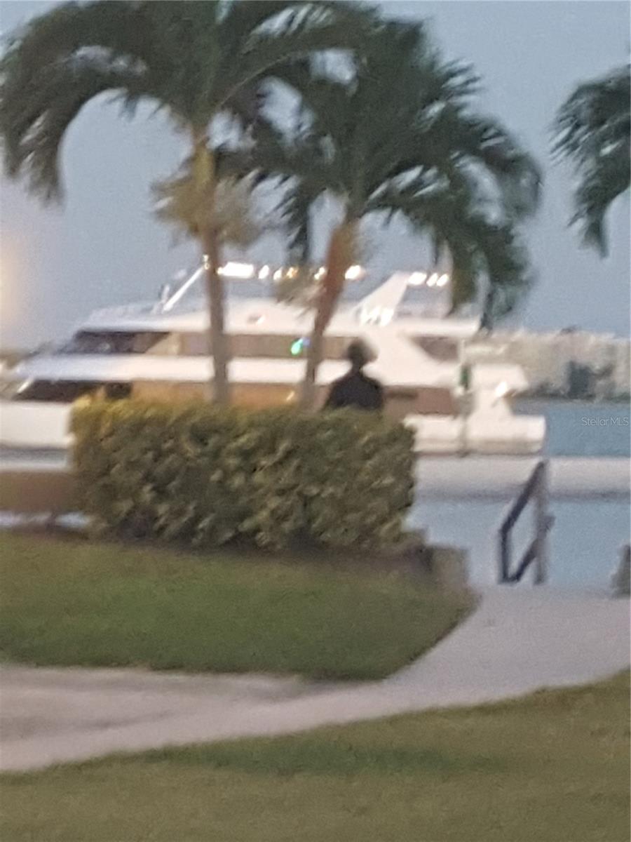 851 BAYWAY BLVD #606, CLEARWATER BEACH, FL, 33767