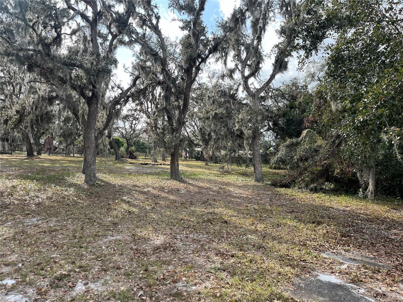 1319 VANCE RD, PLANT CITY, FL, 33566