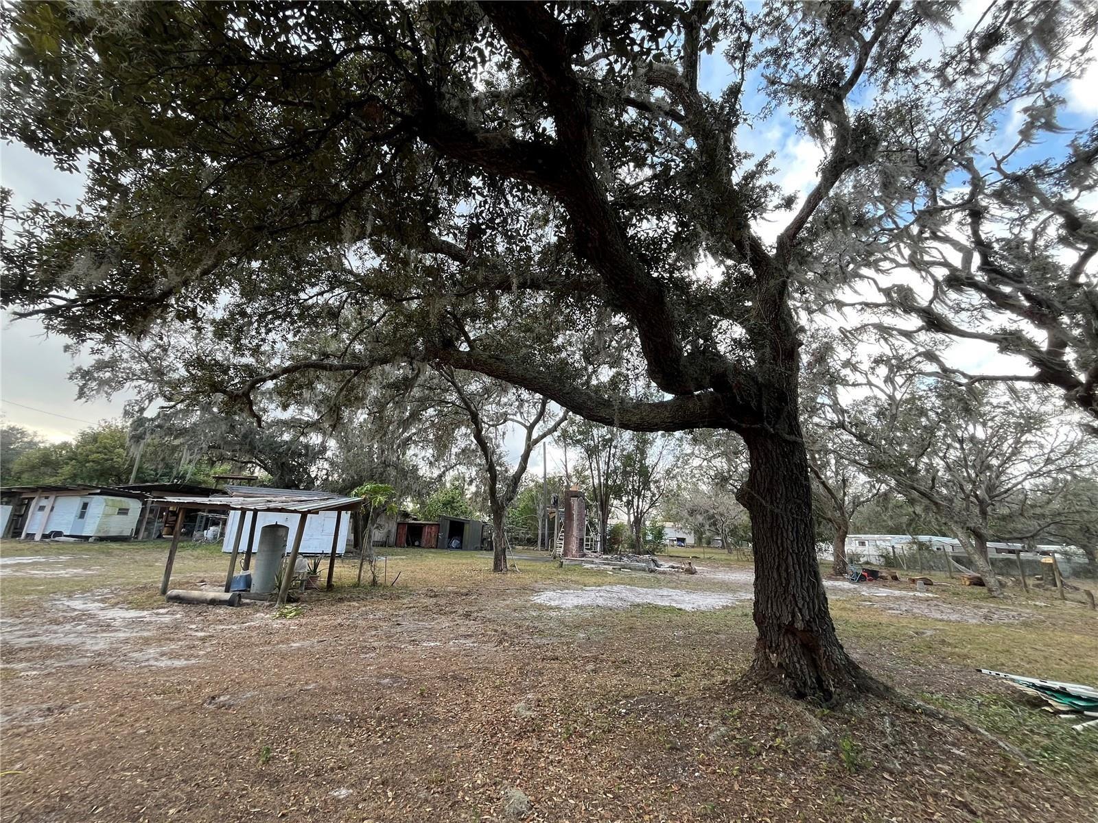 1319 VANCE RD, PLANT CITY, FL, 33566