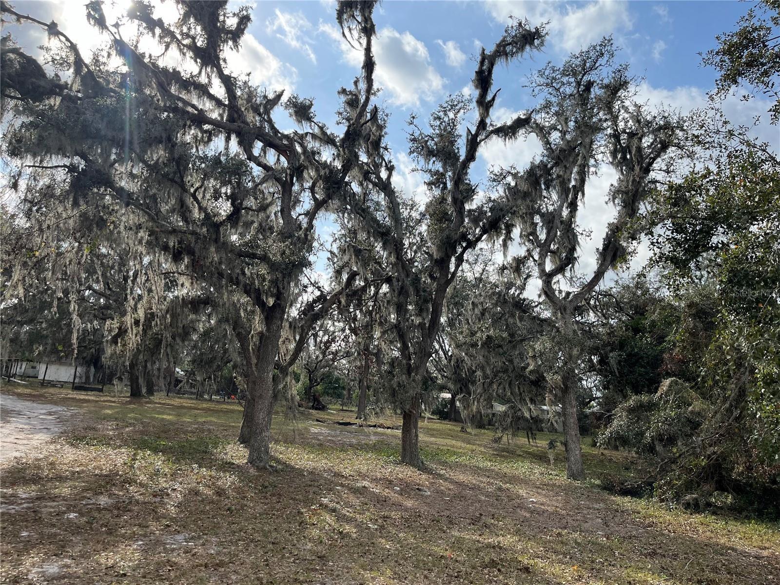 1319 VANCE RD, PLANT CITY, FL, 33566