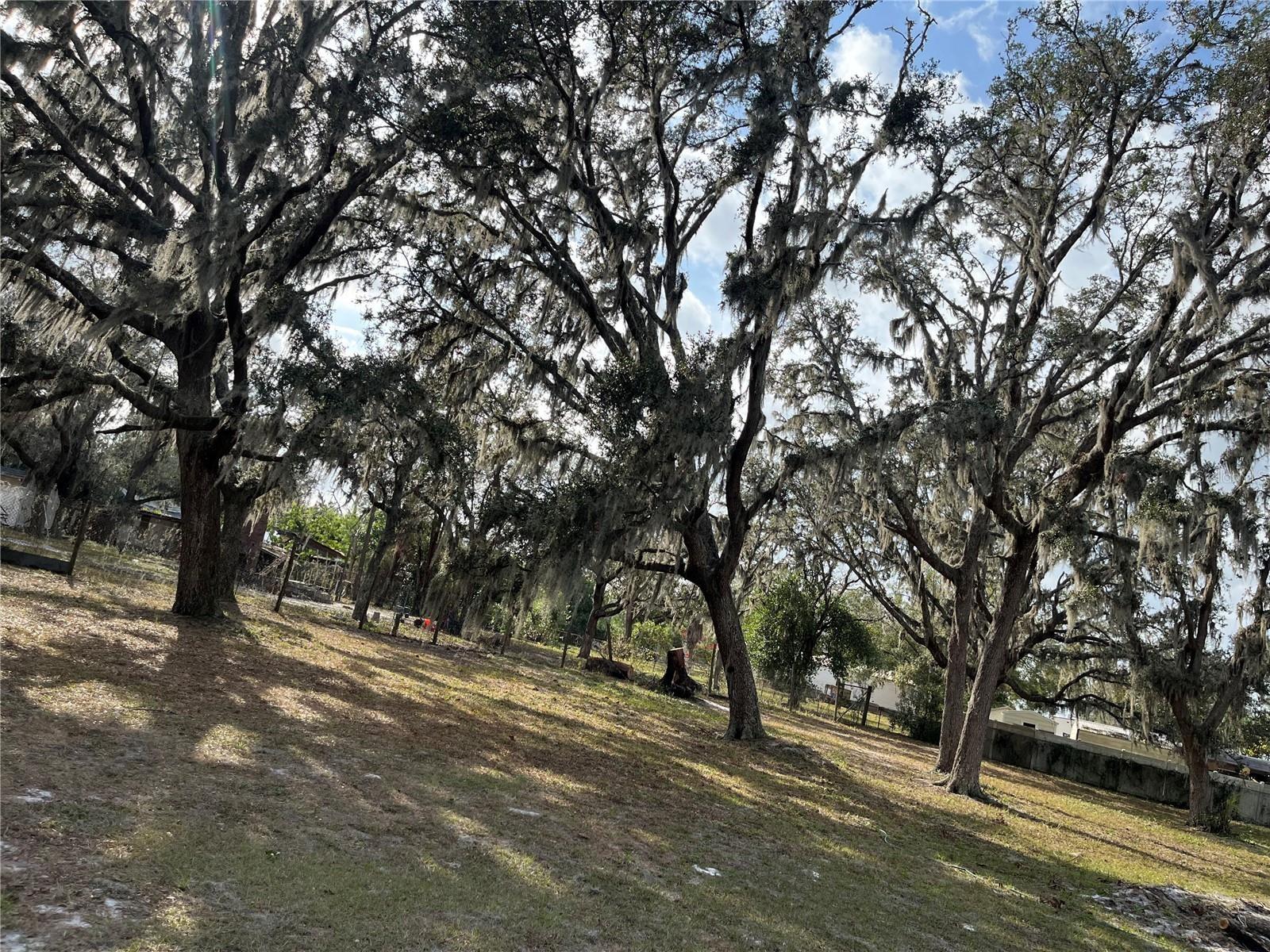 1319 VANCE RD, PLANT CITY, FL, 33566