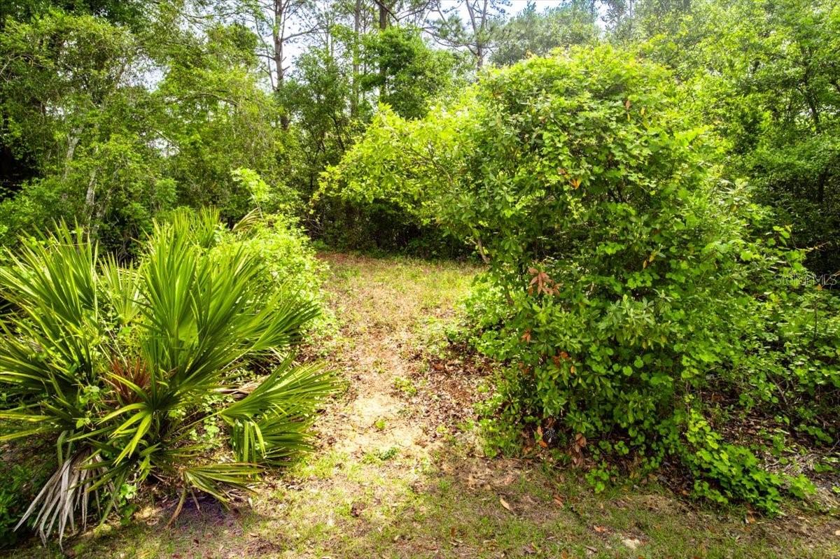 197 PARKVIEW DR, PALM COAST, FL, 32164