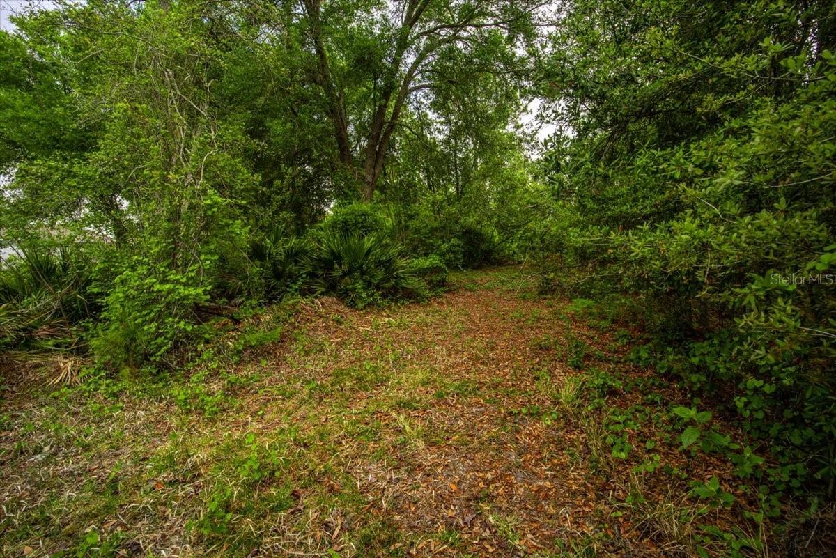 197 PARKVIEW DR, PALM COAST, FL, 32164