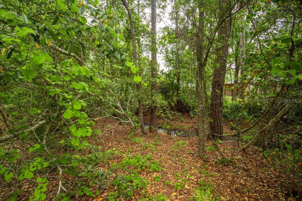 197 PARKVIEW DR, PALM COAST, FL, 32164