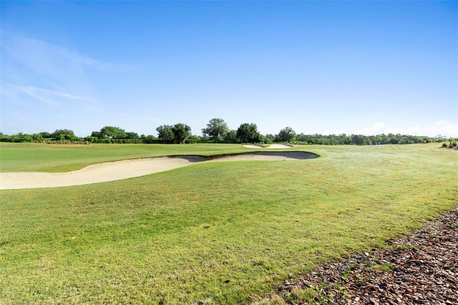 1033 BLACKWOLF RUN RD, DAVENPORT, FL, 33896