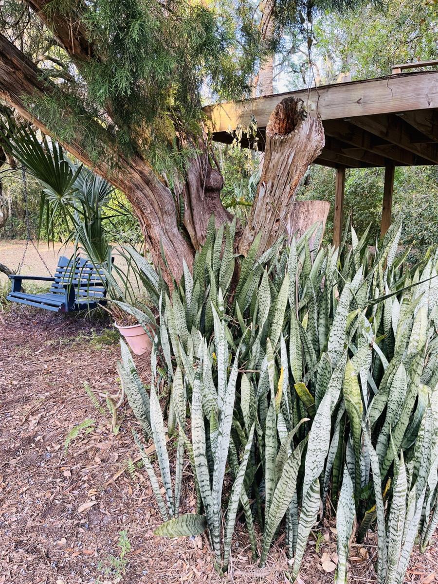 18700 RAVENSWOOD RD, ALTOONA, FL, 32702