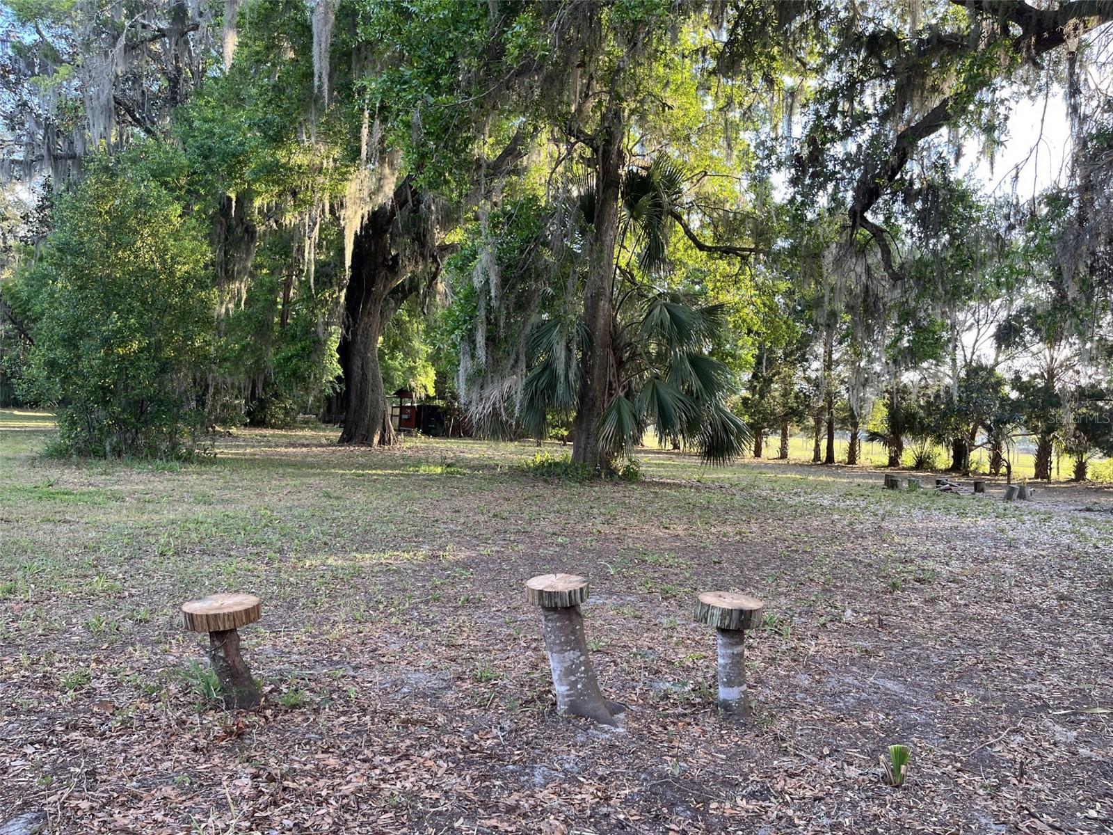 18700 RAVENSWOOD RD, ALTOONA, FL, 32702