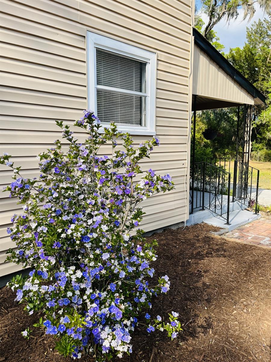 18700 RAVENSWOOD RD, ALTOONA, FL, 32702