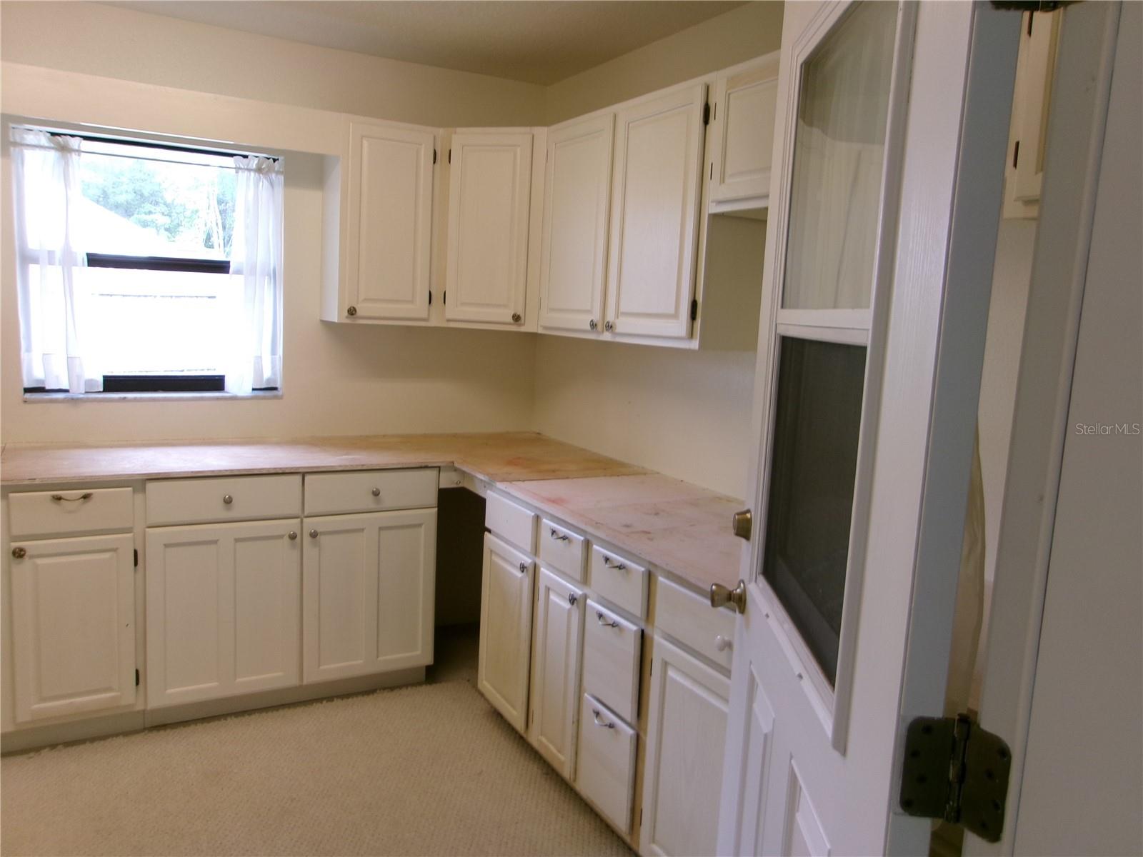 26225 TROON AVE, MOUNT PLYMOUTH, FL, 32776