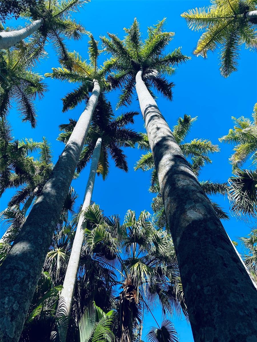 2485 BELVOIR BLVD, SARASOTA, FL, 34237