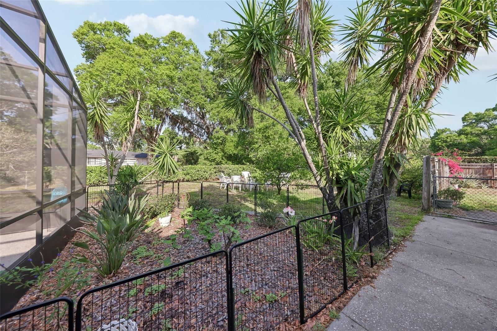 1202 BLY CT, EUSTIS, FL, 32726